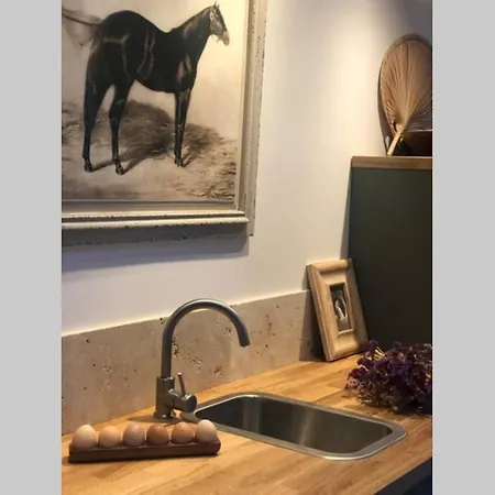 Normand Avec Sa Grande Piscine Chauffee Toute L Annee Sur Parc Arbore Et Clos En Plein Coeur De La Campagne Adapte Aux Kids Et Dog Friendly * Saint-Antonin-de-Sommaire