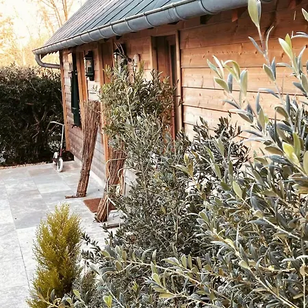 빌라 Normand Avec Sa Grande Piscine Chauffee Toute L Annee Sur Parc Arbore Et Clos En Plein Coeur De La Campagne Adapte Aux Kids Et Dog Friendly *