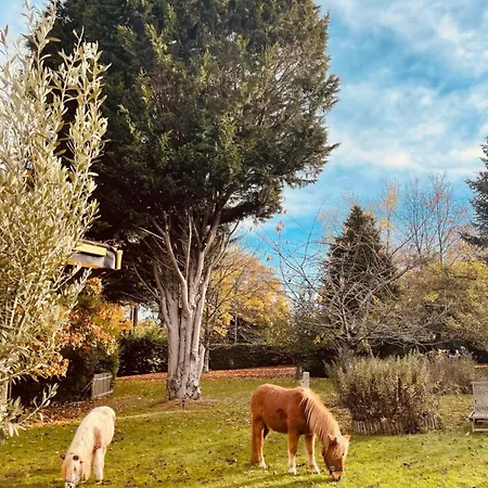 빌라 Normand Avec Sa Grande Piscine Chauffee Toute L Annee Sur Parc Arbore Et Clos En Plein Coeur De La Campagne Adapte Aux Kids Et Dog Friendly
