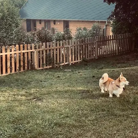Normand Avec Sa Grande Piscine Chauffee Toute L Annee Sur Parc Arbore Et Clos En Plein Coeur De La Campagne Adapte Aux Kids Et Dog Friendly * Saint-Antonin-de-Sommaire